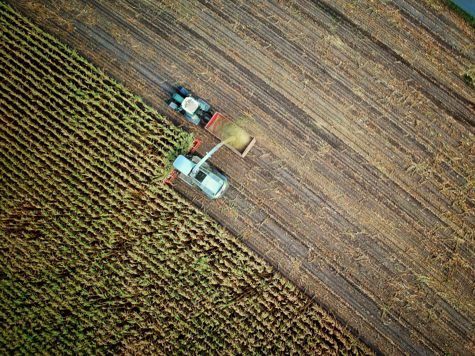 Agronom, agronomija, poljoprivreda, uzgoj hrane, traktor