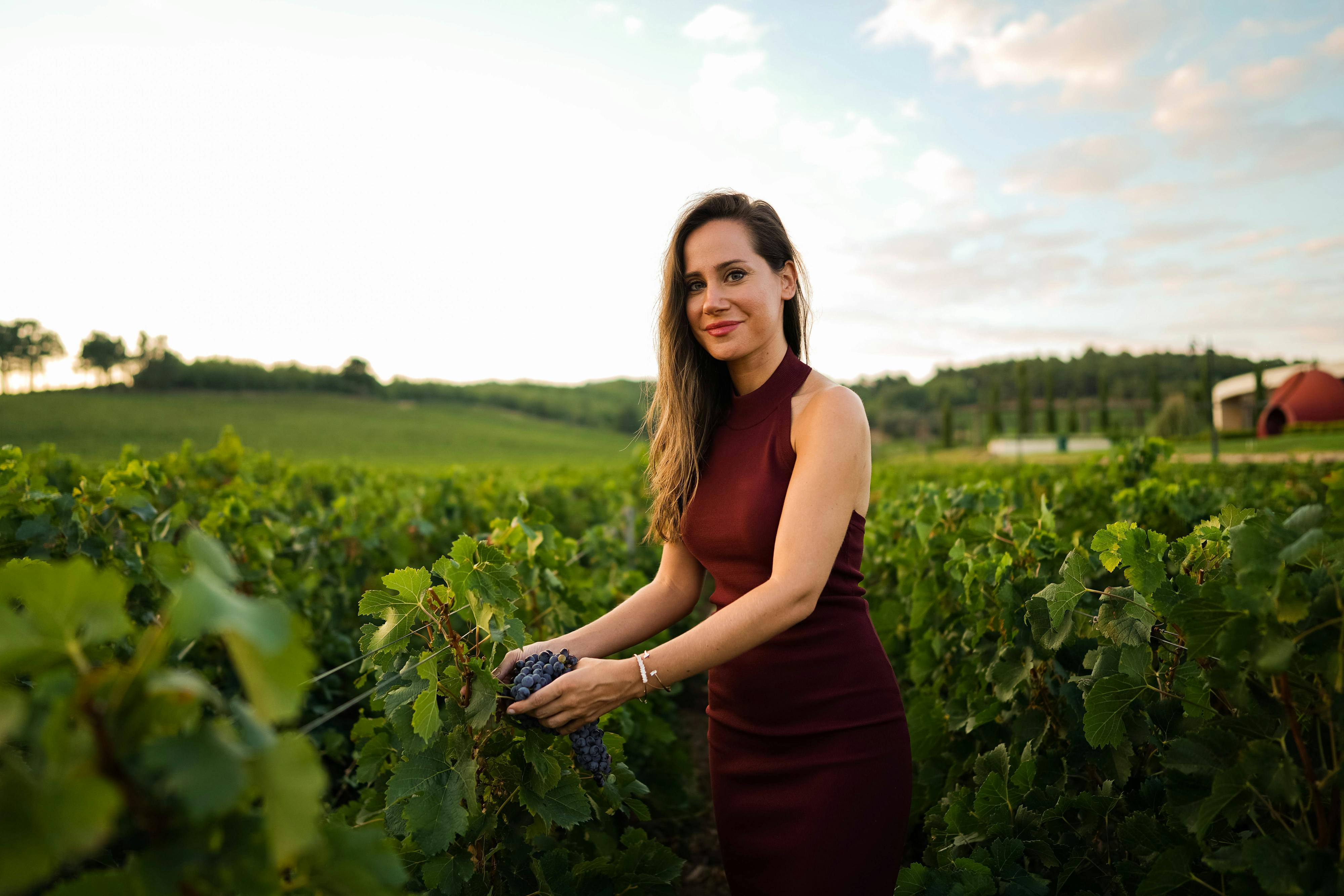 Stručnjak za vinogradarstvo, stručnjakinja, Pexels